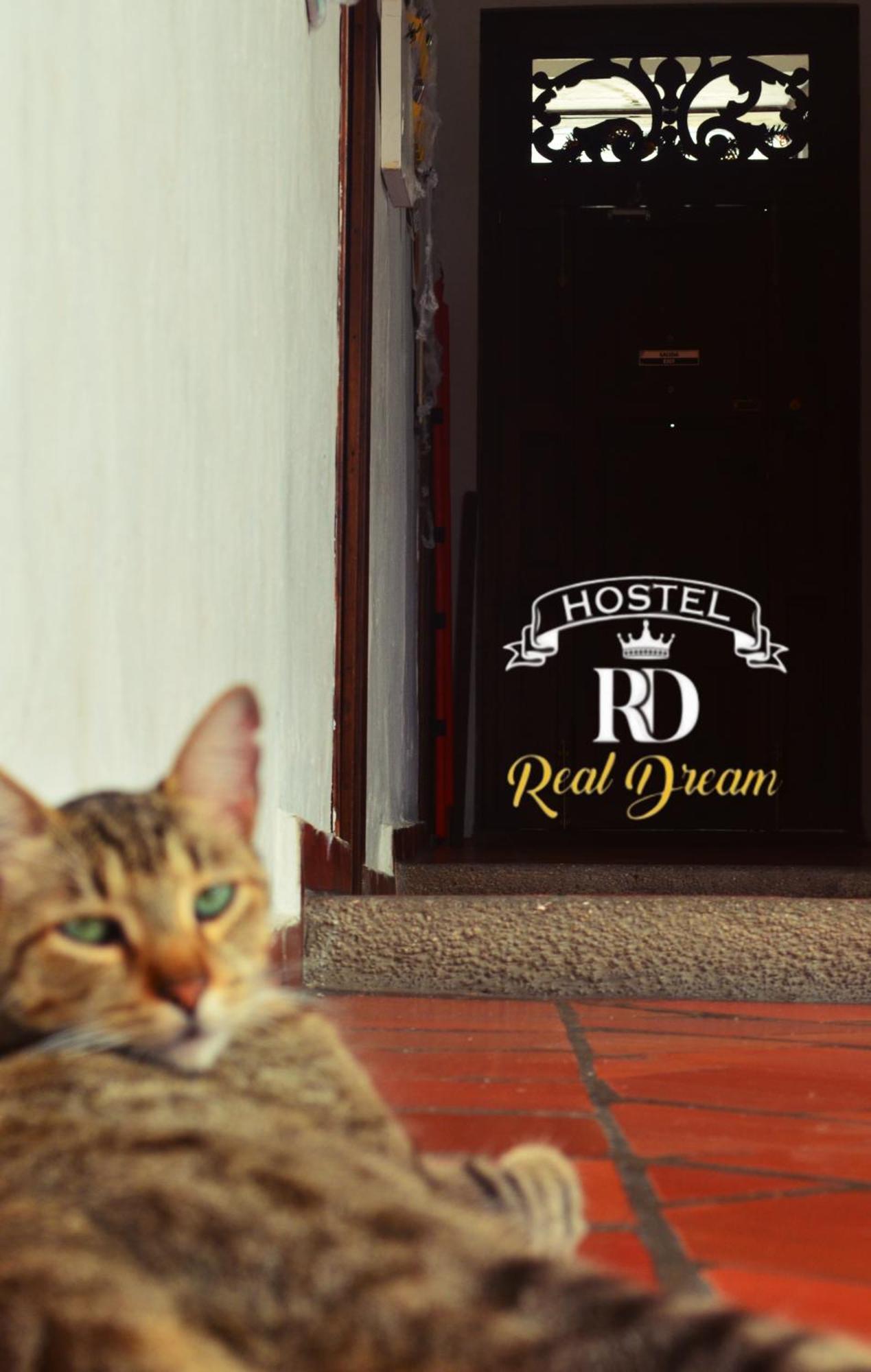 Real Dream Hostel San Gil Eksteriør billede